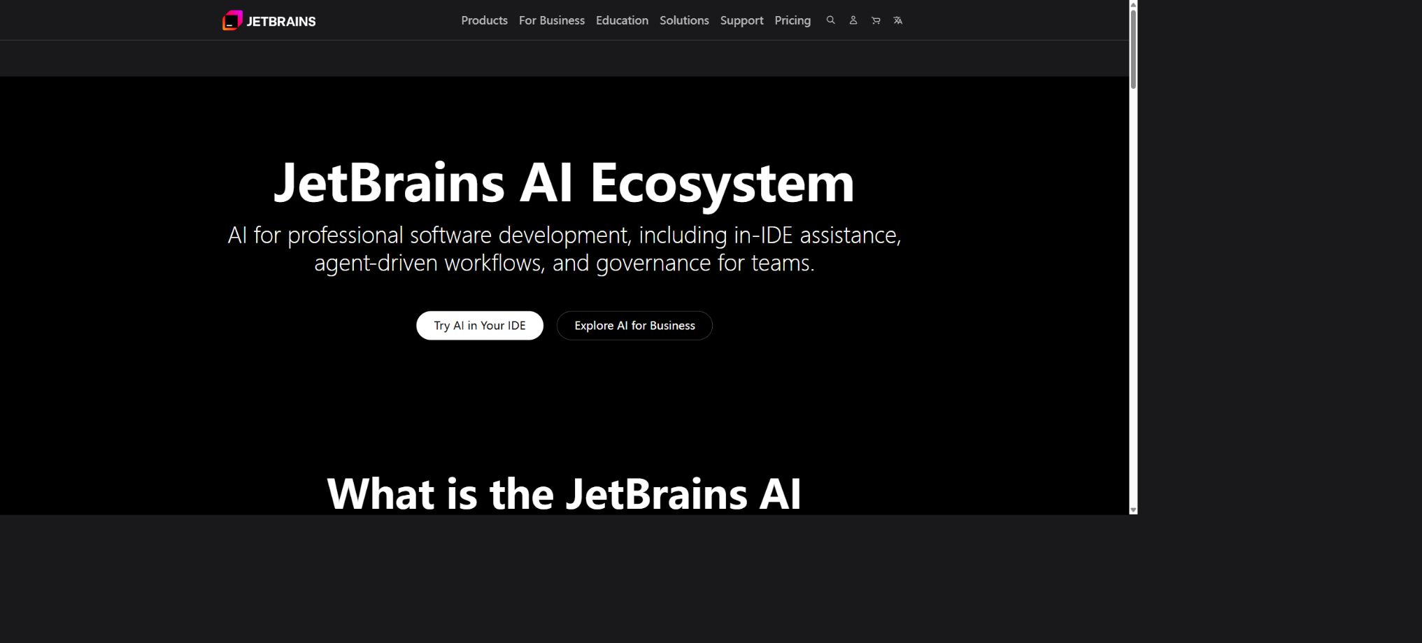 JetBrains AI Assistant