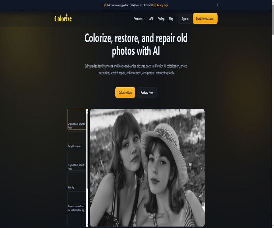 ImageColorizer
