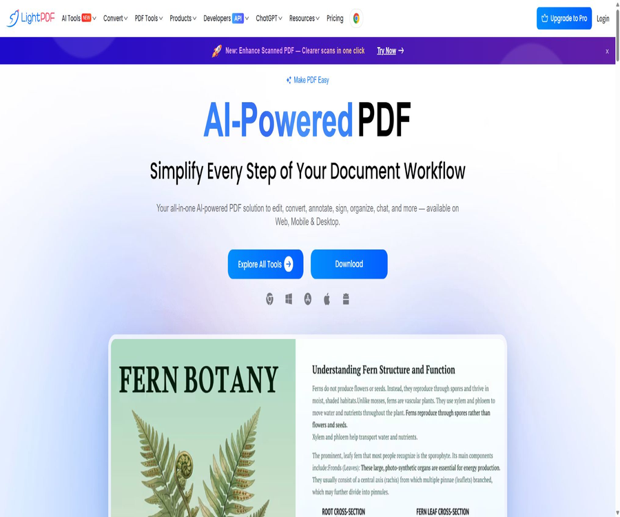LightPDF